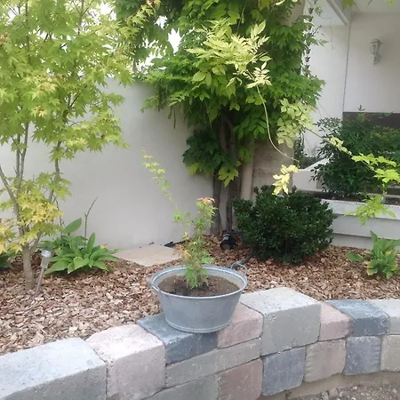 Ma Maison ביון