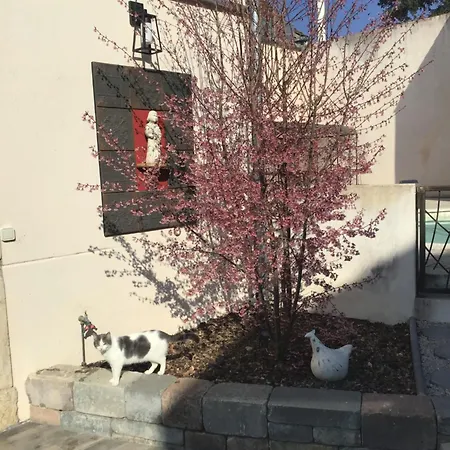 Ma Maison Couette-café