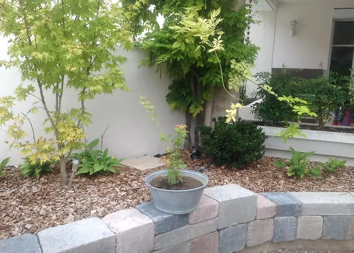 马麦森住宿加早餐旅馆 博讷