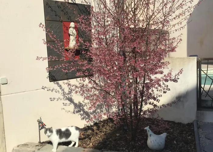 马麦森住宿加早餐旅馆 住宿加早餐酒店